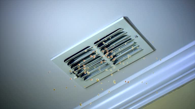 Best General Air Duct Cleaning  in Shelbyville, IN